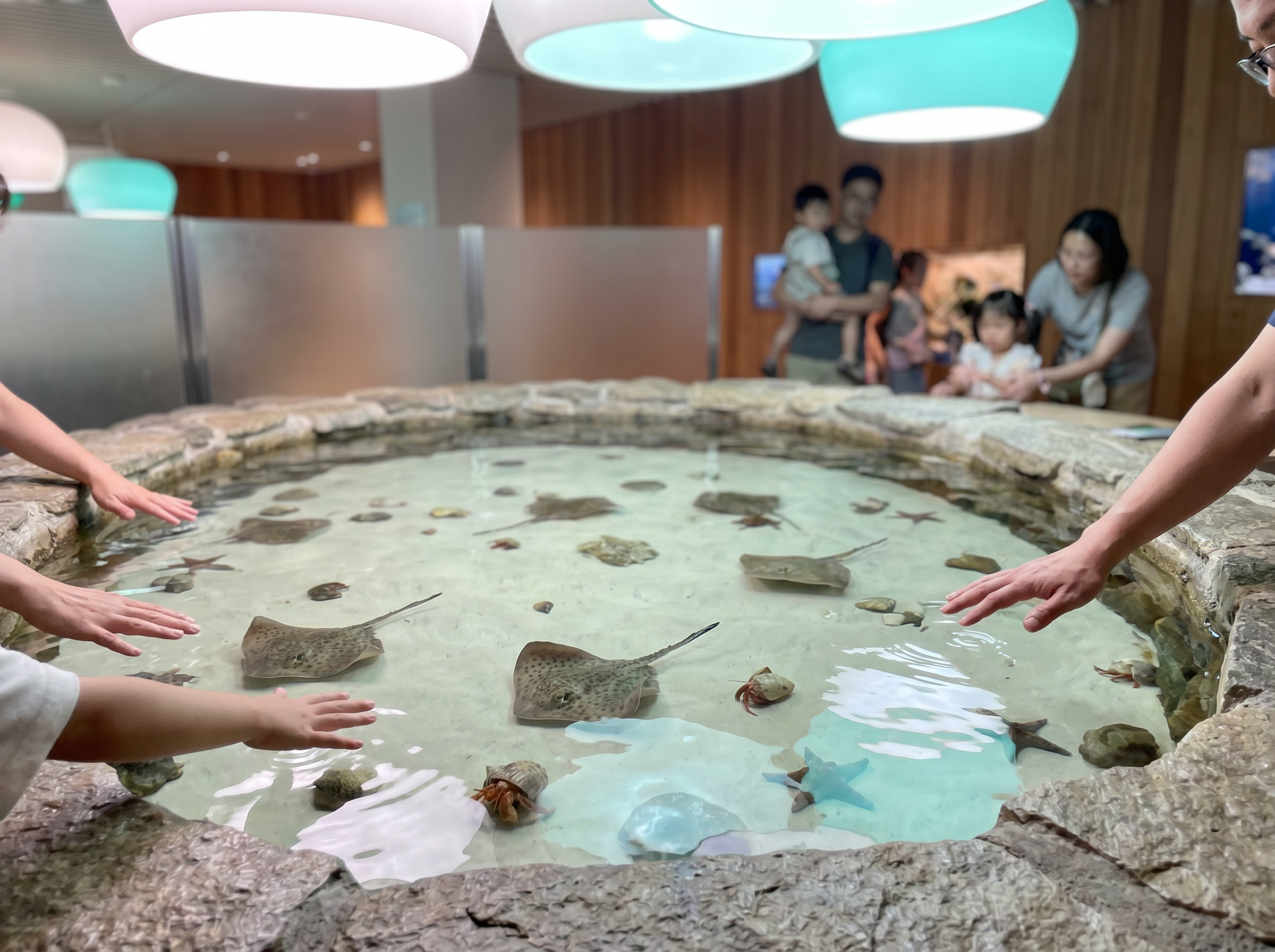 Touch pool experience